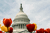 Washington Pulse: IRS Releases Proposed Mandatory Automatic Enrollment Regulation
